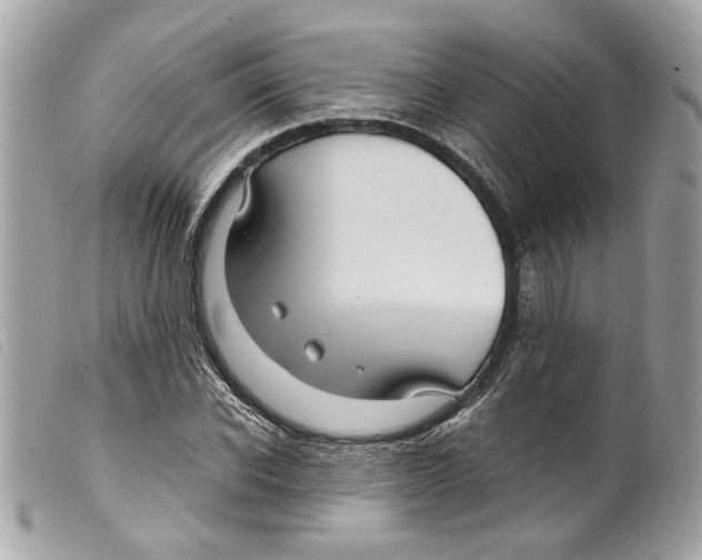 X0000099310926200805301151