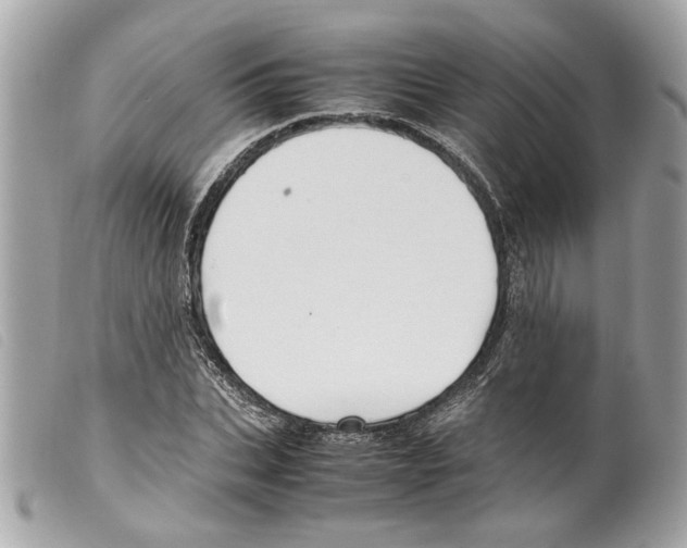 X0000099310927200805301151