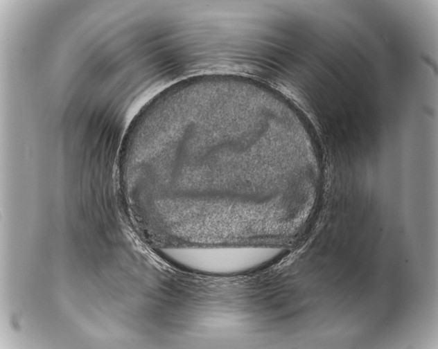 X0000099310928200805301151