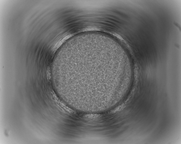 X0000099310929200805301151