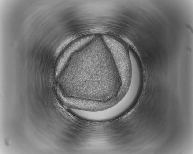 X0000099310930200805301151