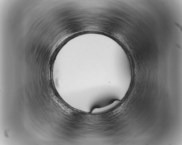X0000099310931200805301151