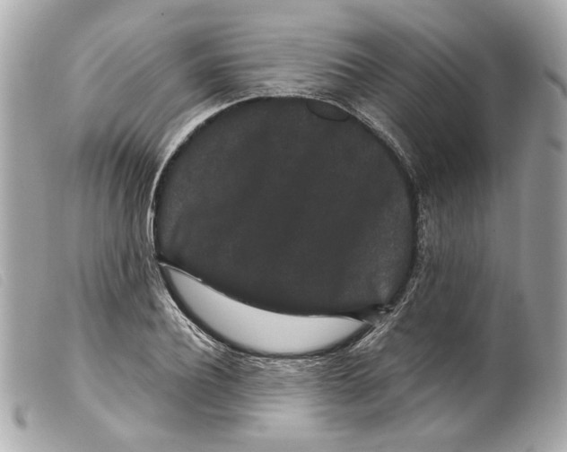 X0000099310932200805301151