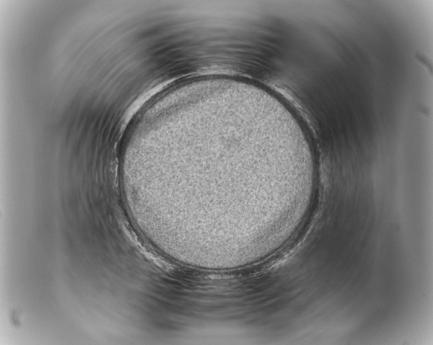 X0000099310933200805301151