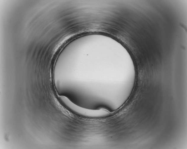 X0000099310934200805301151