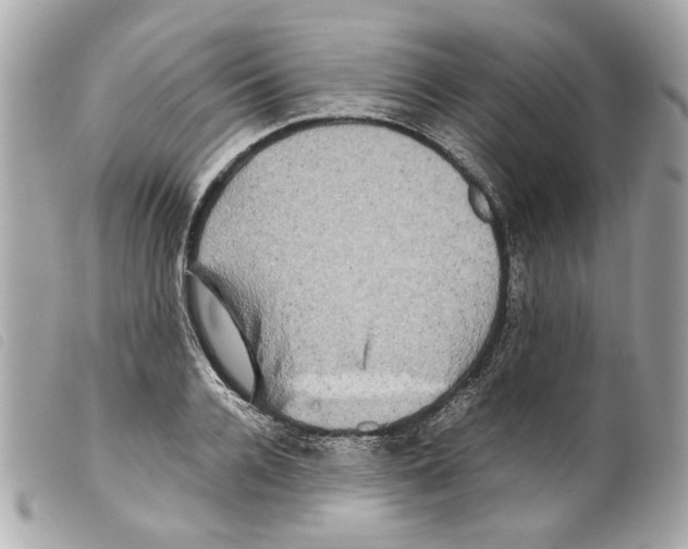 X0000099310936200805301151