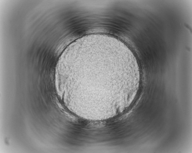 X0000099310937200805301151