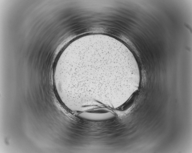 X0000099310939200805301151