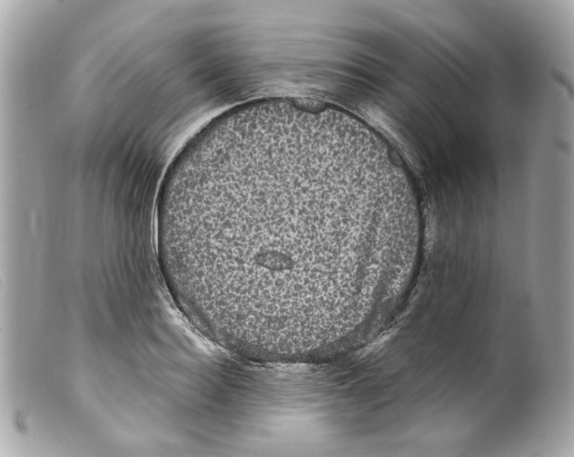 X0000099310940200805301151