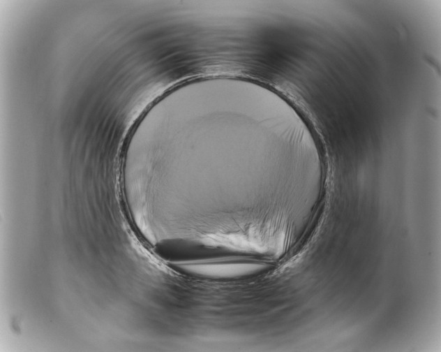X0000099310941200805301151