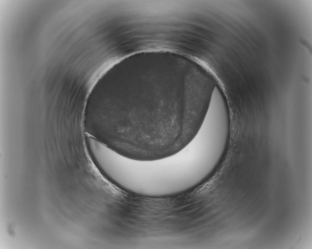 X0000099310943200805301151