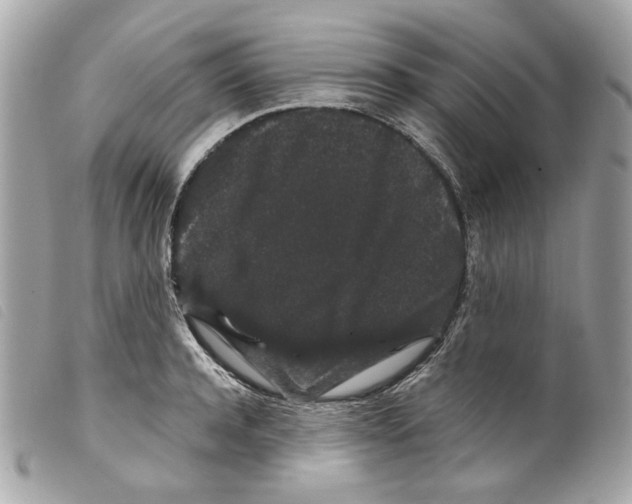 X0000099310944200805301151