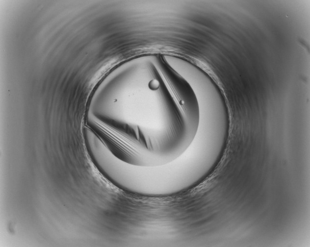 X0000099310946200805301151