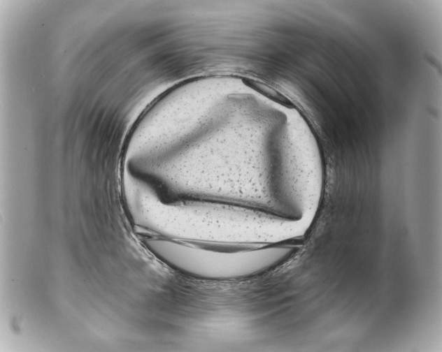 X0000099310948200805301151