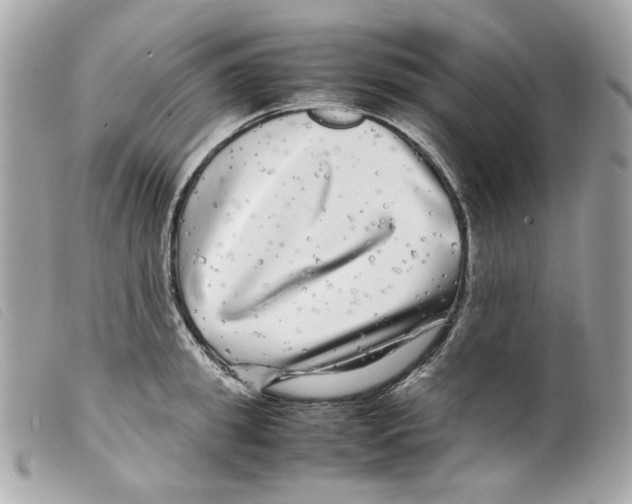 X0000099310949200805301151