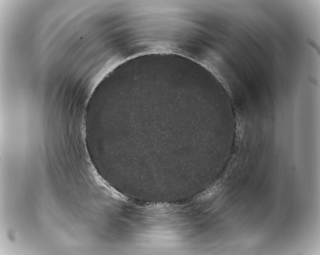 X0000099310950200805301151