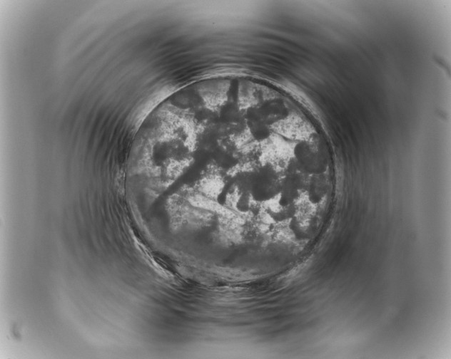 X0000099310953200805301151