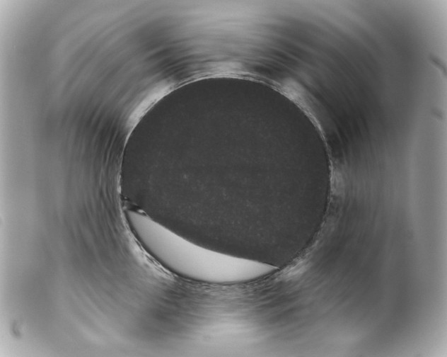 X0000099310954200805301152