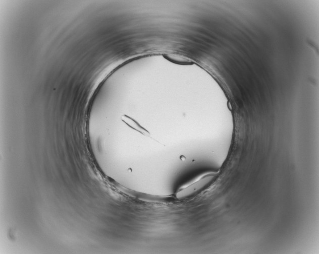 X0000099310956200805301152