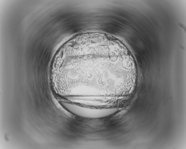 X0000099310957200805301152