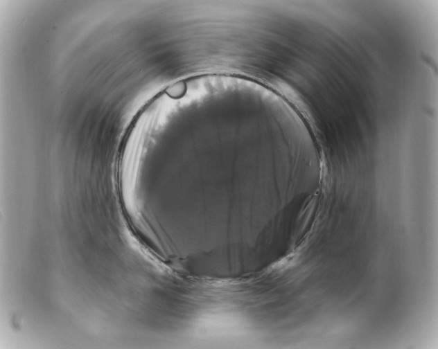 X0000099310958200805301152