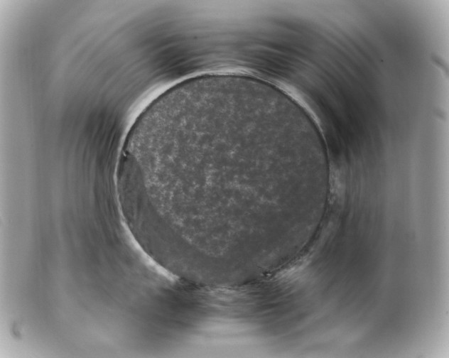 X0000099310959200805301152