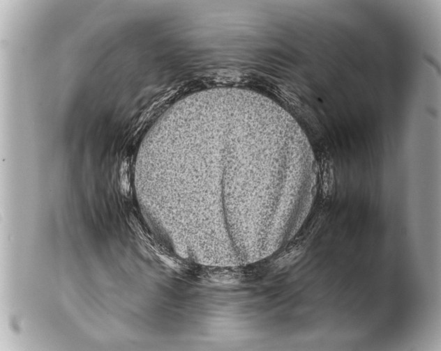 X0000099310962200805301151