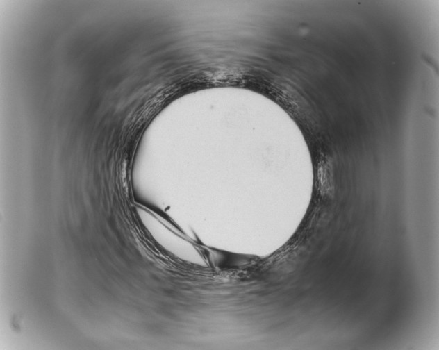 X0000099310963200805301151