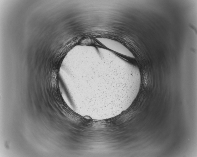 X0000099310964200805301151