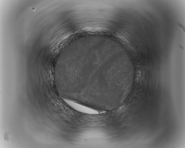 X0000099310966200805301151