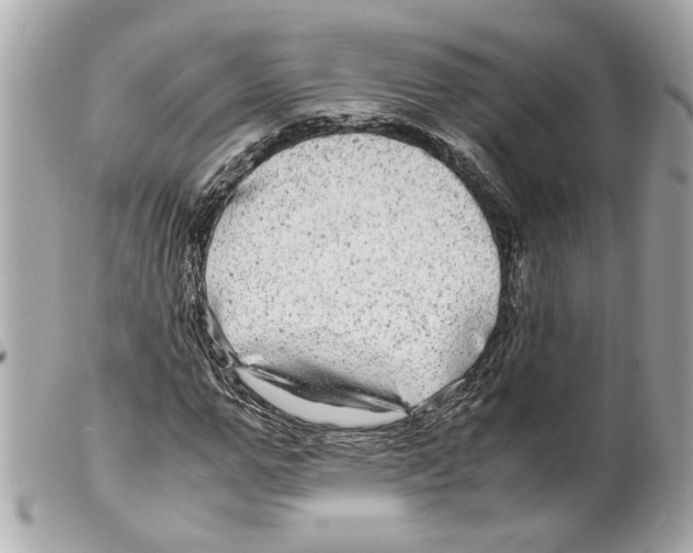 X0000099310967200805301151