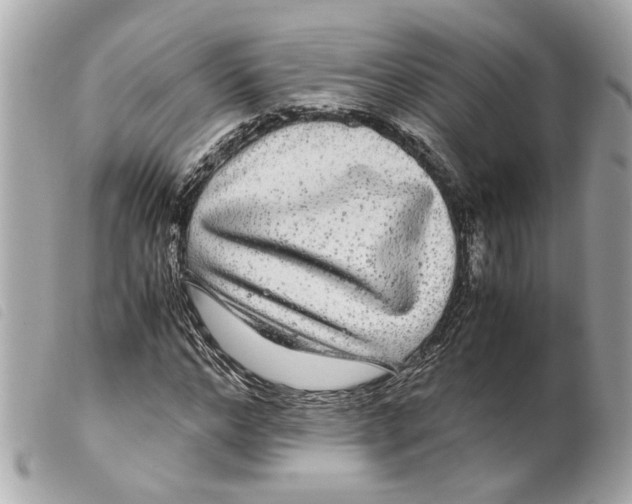 X0000099310968200805301151