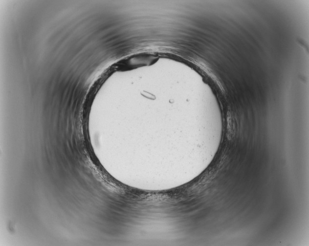 X0000099310972200805301150