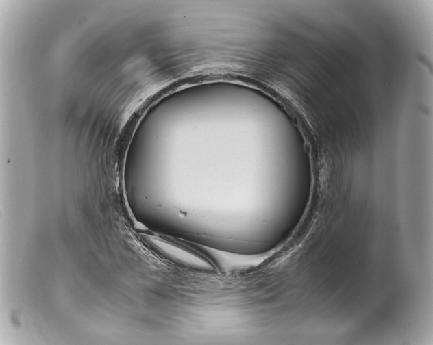 X0000099310973200805301150