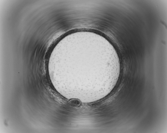 X0000099310974200805301150