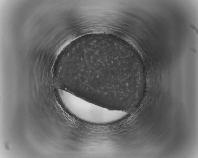 X0000099310975200805301150