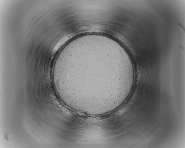 X0000099310978200805301150