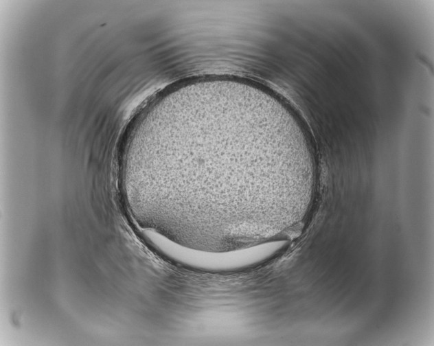 X0000099310979200805301150