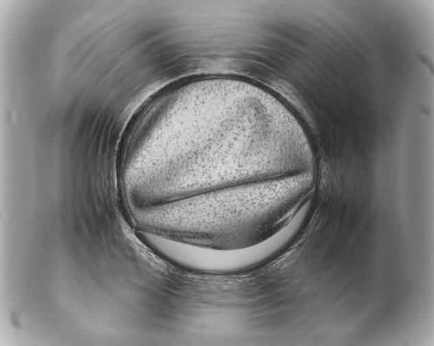 X0000099310980200805301150