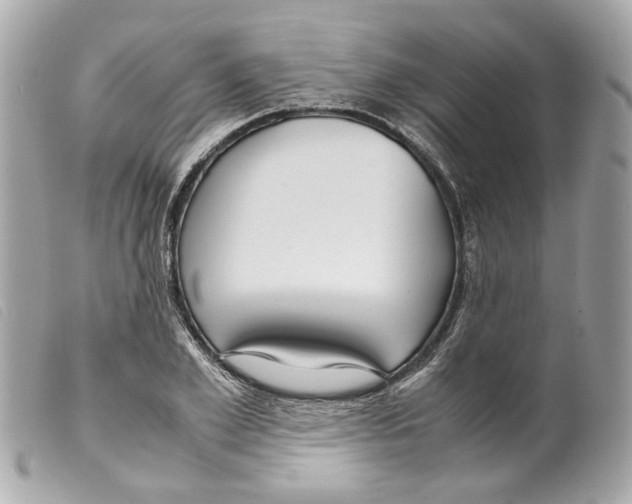 X0000099310981200805301150