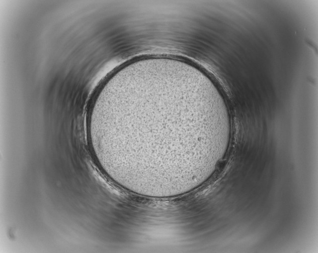 X0000099310982200805301150