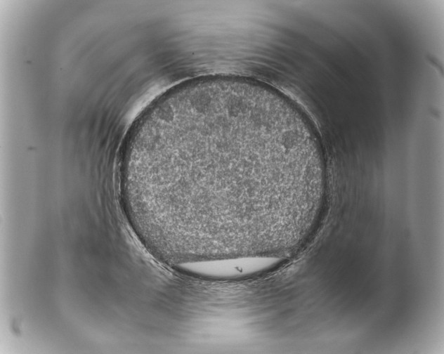 X0000099310983200805301150