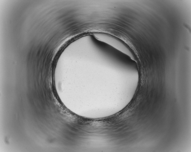 X0000099310984200805301150