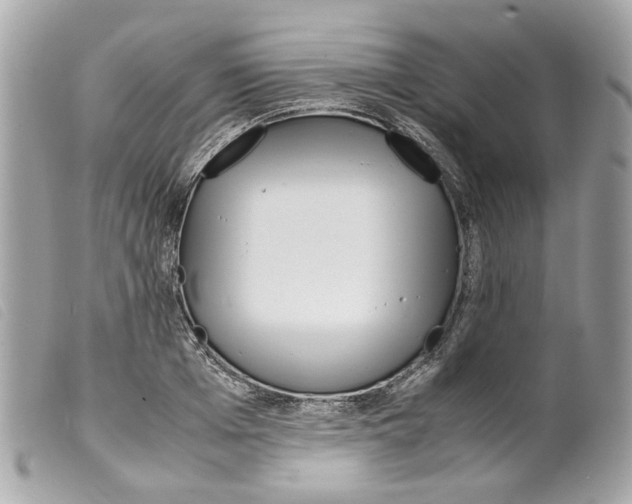 X0000099310985200805301150