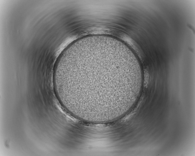 X0000099310986200805301150