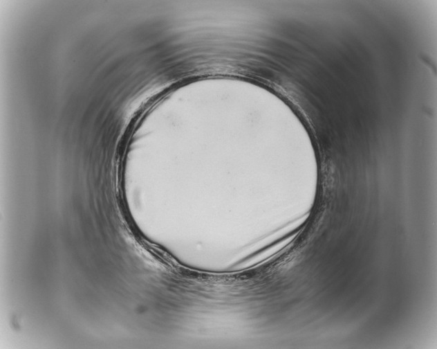 X0000099310987200805301150