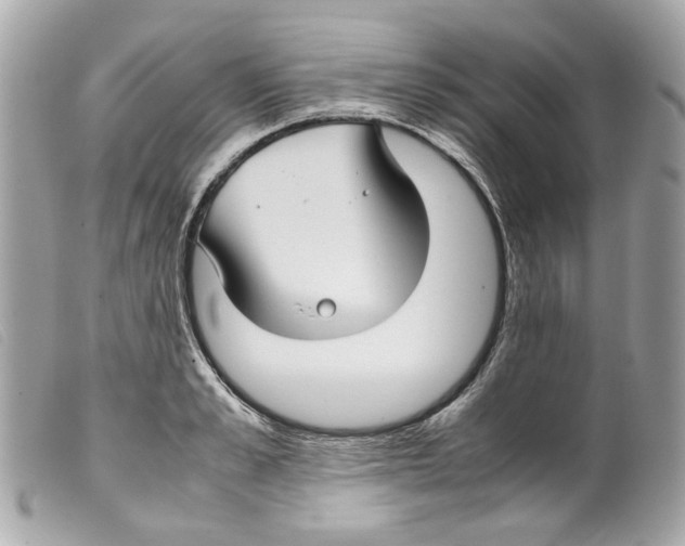 X0000099310989200805301150