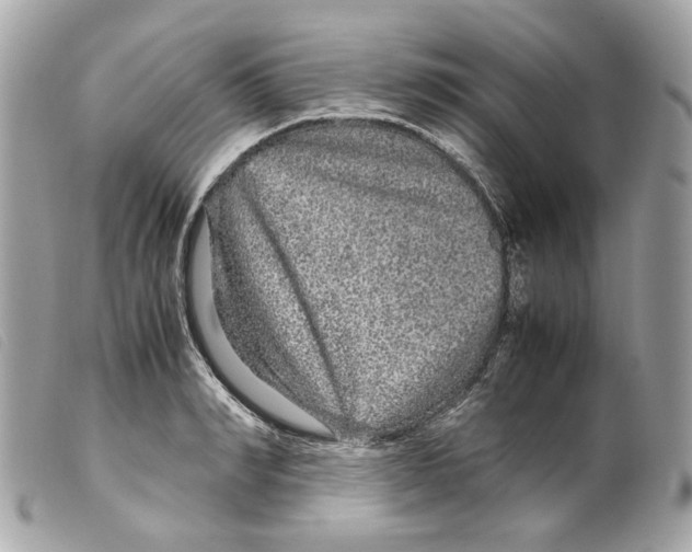 X0000099310990200805301150