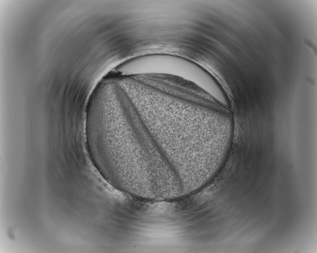 X0000099310992200805301150