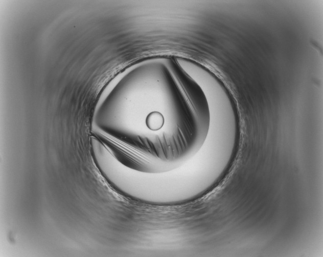 X0000099310993200805301150